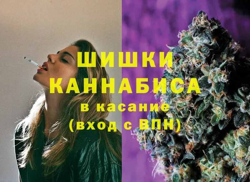 что такое наркотик  Пугачёв  ссылка на мегу зеркало  Каннабис SATIVA & INDICA 